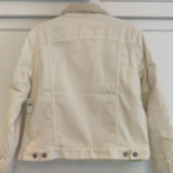 Gap Factory cream corduroy sheepskin jacket - Picture 5 of 8